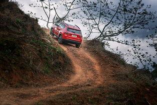 国产j精品,匠心独运，品质卓越的国产佳作盘点  第1张